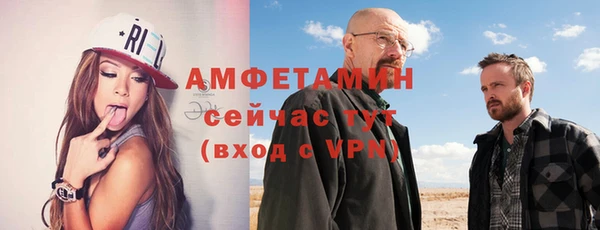 СК Алексин