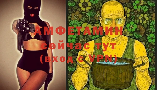 СК Алексин