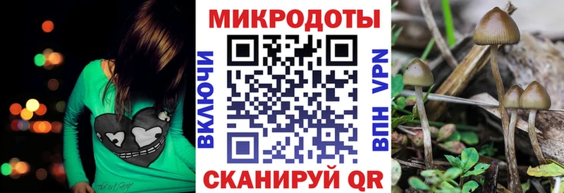 Псилоцибиновые грибы Magic Shrooms Мостовской